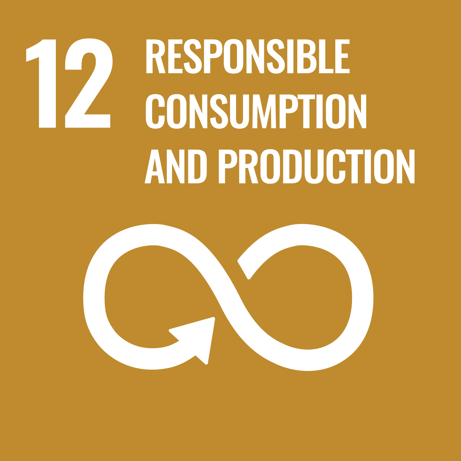 Goal 12: Responsible consuption and production
